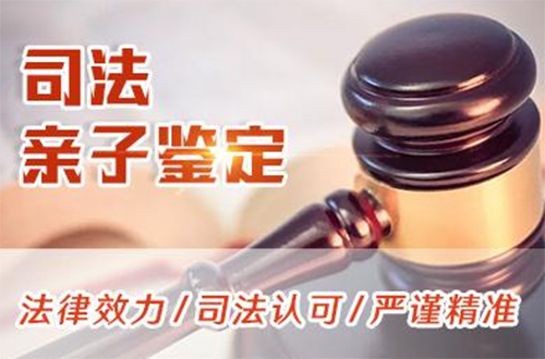 河南专业司法亲子鉴定中心查询,河南司法亲子鉴定费用多少钱一次